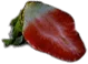 09bf7e881224f981fefa12d5cefcf8b2