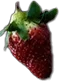 0b823994799c3853b1dacb723d3280de