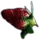 0e4be36efea0cdf83d8eb663944897d7