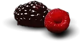 0f284b2c6b58abd5872c1ee4a936cb99