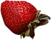 C962b683de4e0eefe675f15bc12c13de